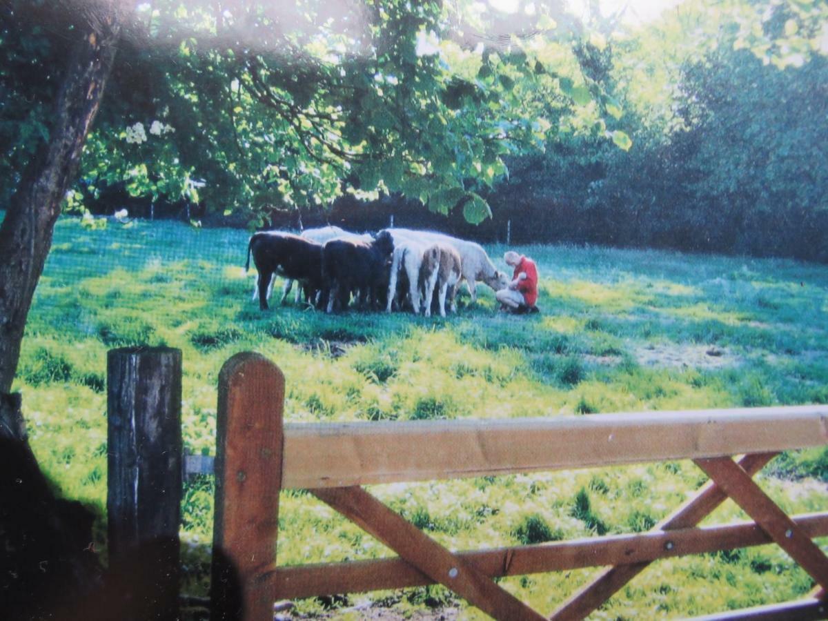 Corner Farm Bed & Breakfast Crewe Dış mekan fotoğraf